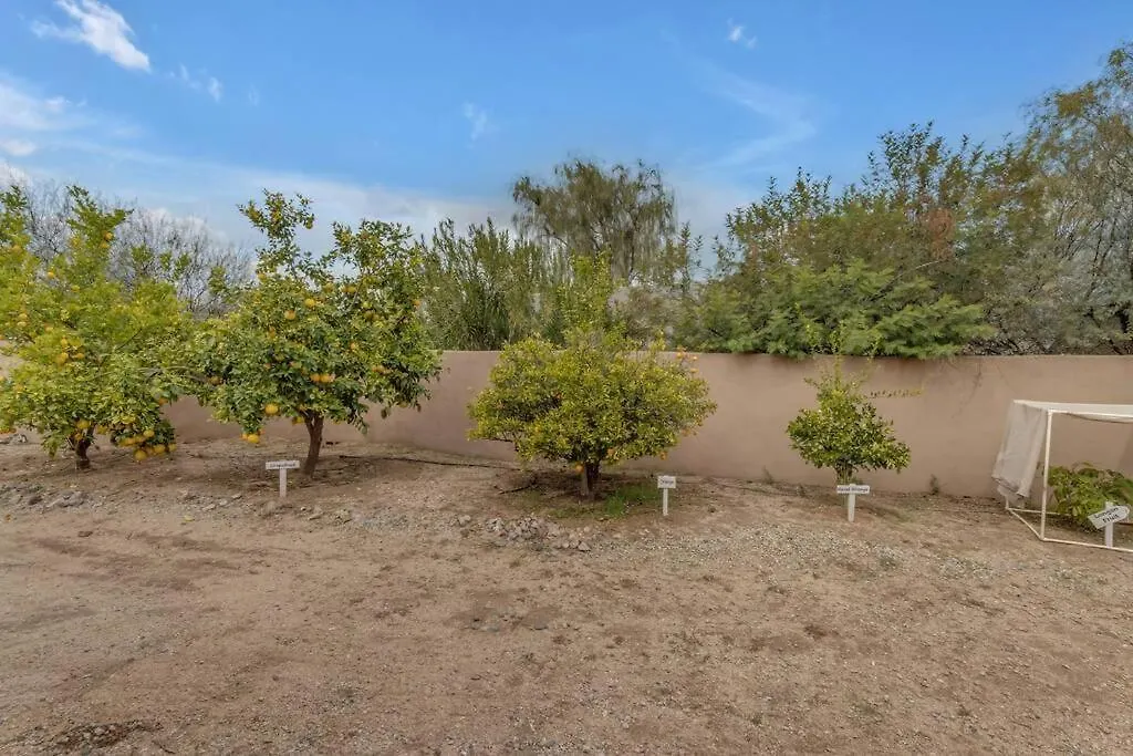 別荘 Desert Retreat With Dream Backyard スコッツデール